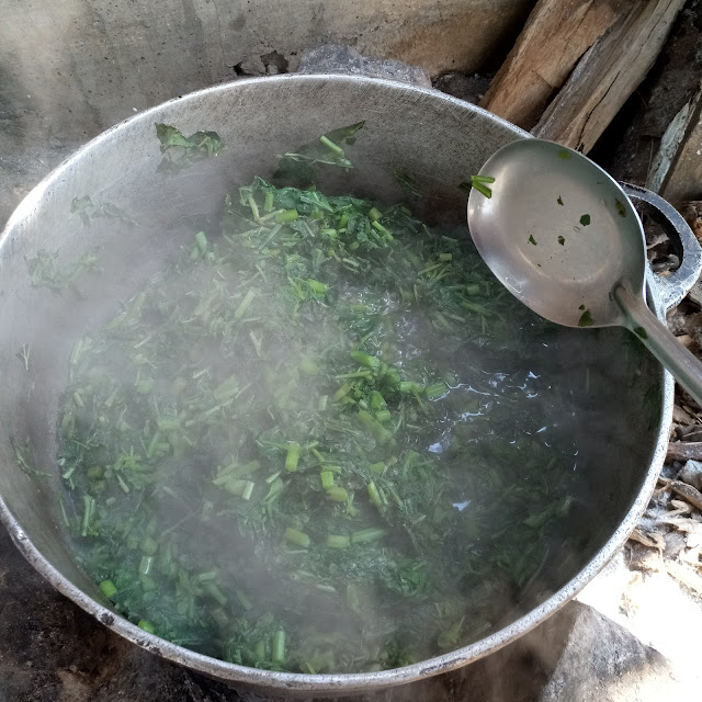 cooking njama-njama, huckleberry leaves