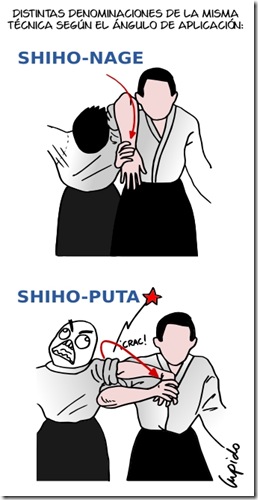 shiho-nage
