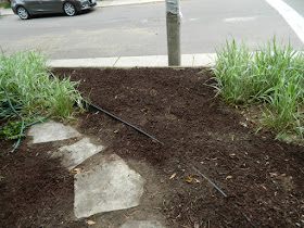 Riverdale Summer Front Garden Cleanup After by Paul Jung Gardening Services--a Toronto Organic Gardener