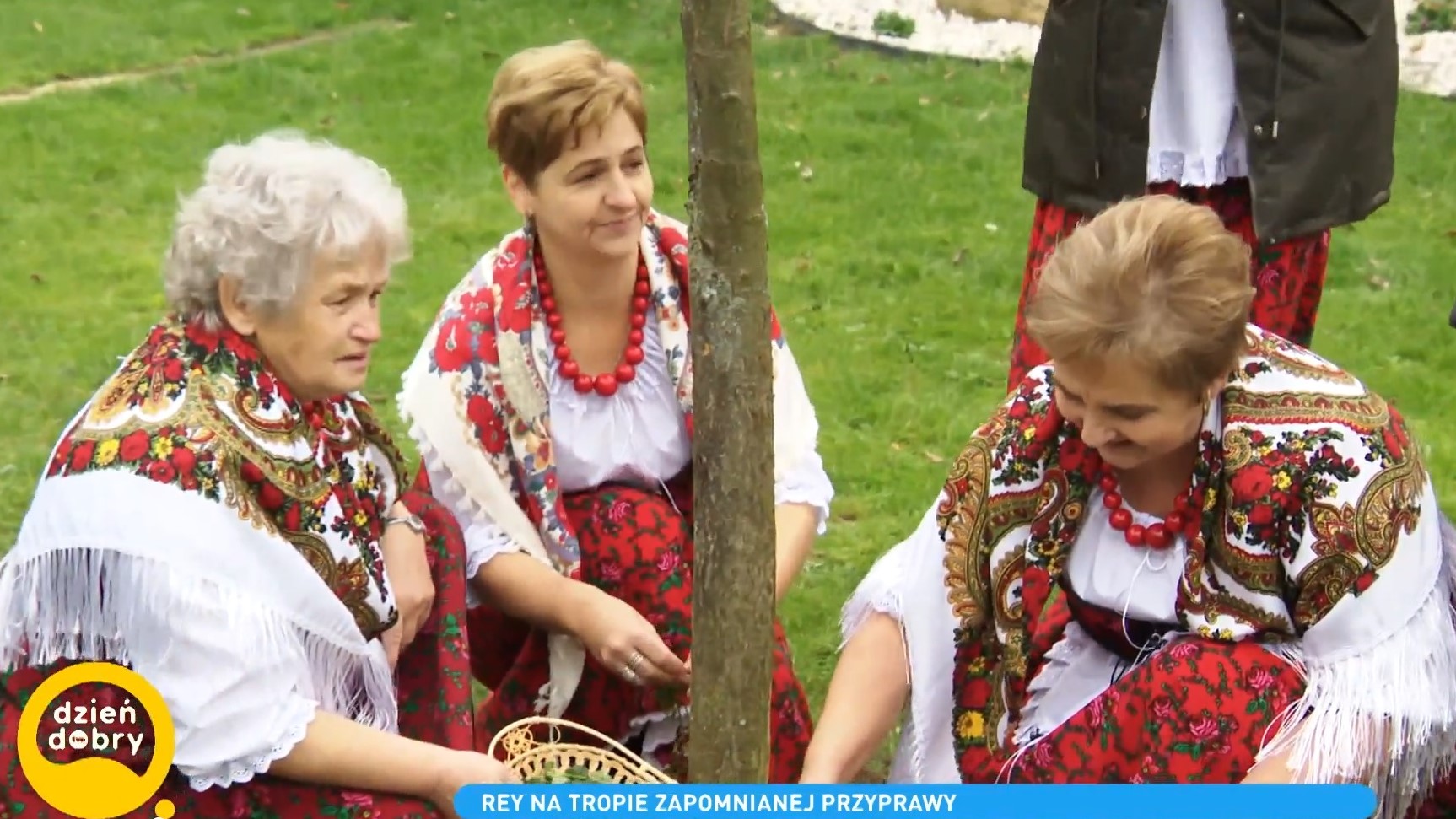 Dzień Dobry TVN w Zagorzycach Górnych w poszukiwaniu... kurdybanka