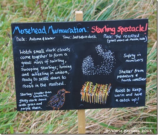 14-murmuration-sign