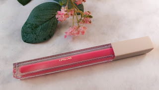Review Olcay Gulsen Beauty Lipgloss