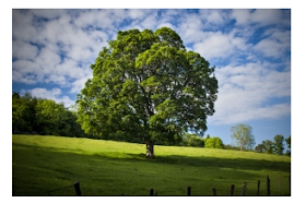 How to Live Longer Meaningfully