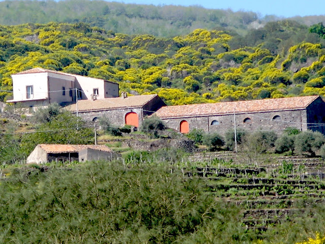 Passopisciaro's Winery at Guardiola.