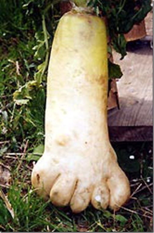 http://www.wikiasia.blogspot.com/2012/11/foto-bentuk-buah-buahan-yang-unik-dan.html