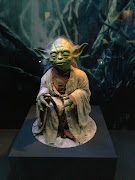 Here is a the actual Yoda, taken a few months ago at the Star Wars Identity .