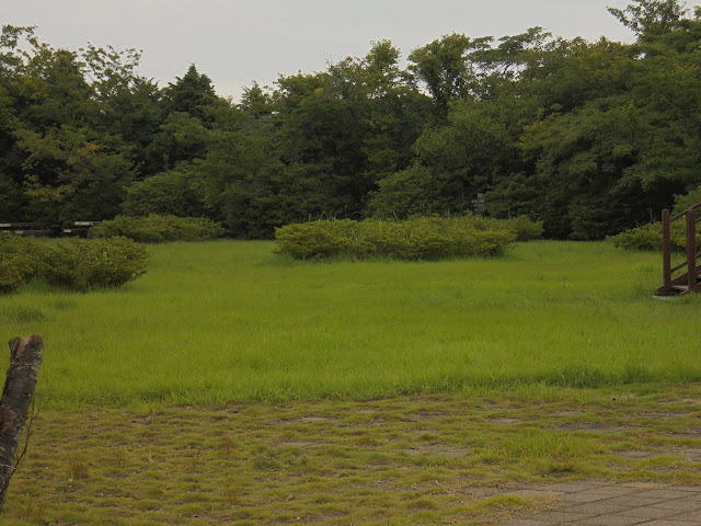 一部草刈りしてある五本松公園の広場
