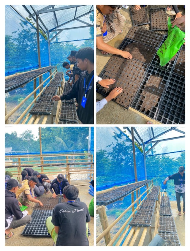 Diseminasi Benih Sayur-Mayur Blue Green Economy Oleh KKN PAR STAMIDIYA 01 Desa Mambulu Barat