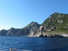IMG_6487