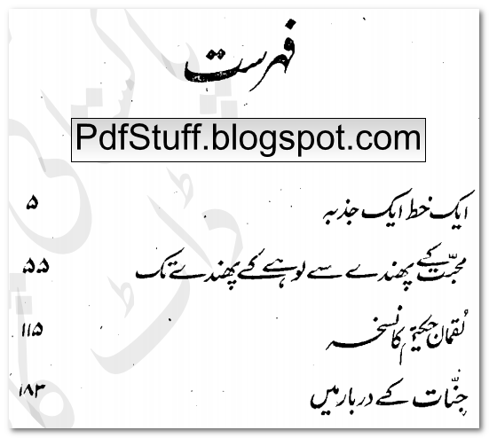Contents of Urdu novel Jinnat Ke Darbar Mein