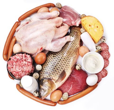 Foods from animal sources like poultry, fish, eggs, milk, cheese, meat