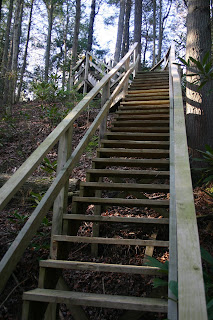 Looking up staircase