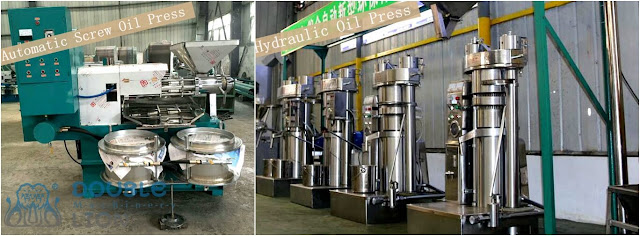 hat Are The Uses of Seed Oil Press Cake-Automatic Oil Press and Hydraulic Oil Press