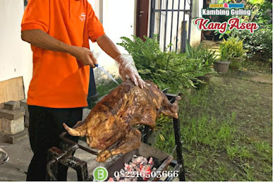 Jasa Pengolahan Kambing Guling,Kambing Guling,Jasa Kambing Guling,