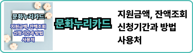 문화누리카드 잔액조회 사용처 글