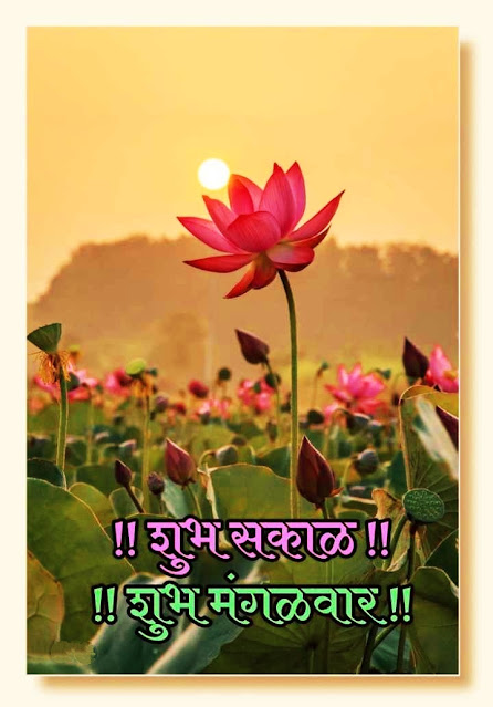 Good Morning Images Marathi Tuesday