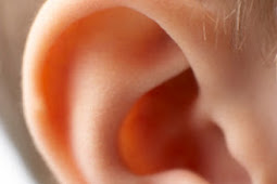 Ears Human ear