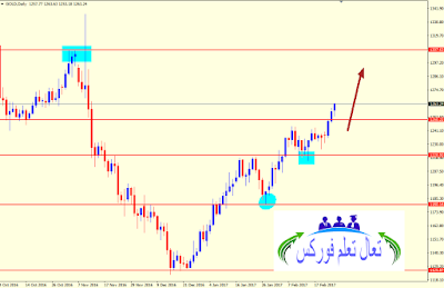 التحليل الفني لليورو دولار (EURUSD) والاسترالي دولار (AUDUSD) وتحليل الذهب الاسبوعي (GOLD) من 27 الى 03 مارس 2017