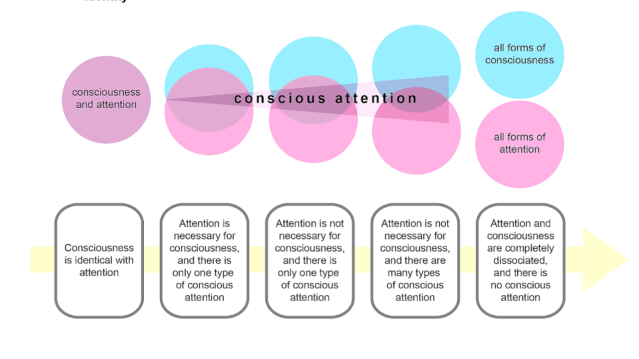 Levels Of Consciousness In Psychology Science