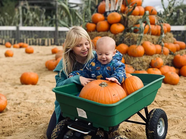 A baby sitting in a green pull along trailer with pumpkins, his sister is crouched down next to it