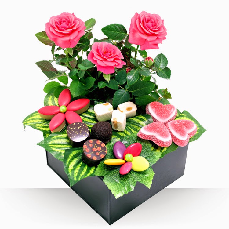 Création gourmande à base de chocolats, calissons et confiseries pour la fête des mères, le tout présenté en composition piquée avec son mini rosier rose naturel.