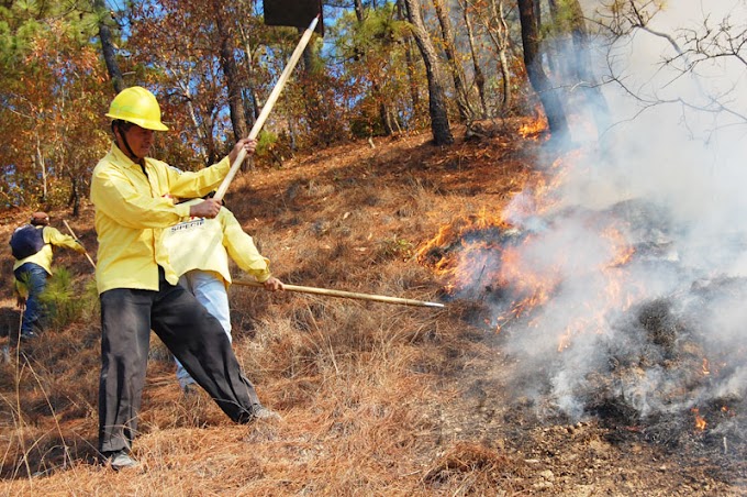 Combaten cuatro incendios forestales en Coahuila
