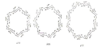 struktur kimia siklodekstrin