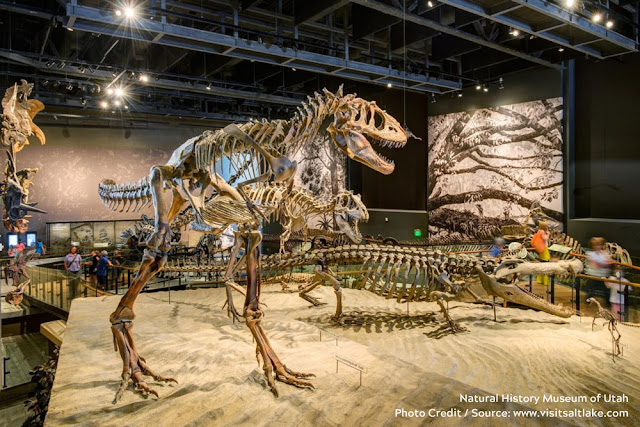 fossils of two dinosaurs standing next to each other