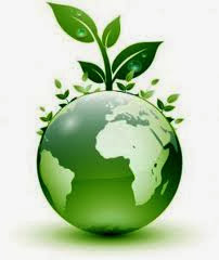 Going green in your restaurant