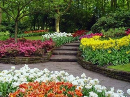 Natural Flower Garden Wallpaper