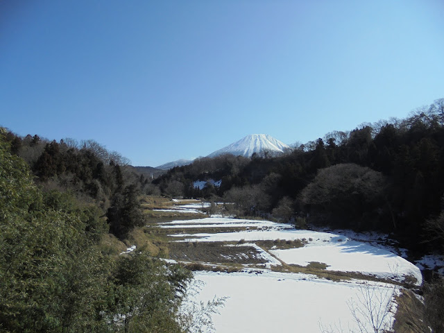 美しい冬の大山