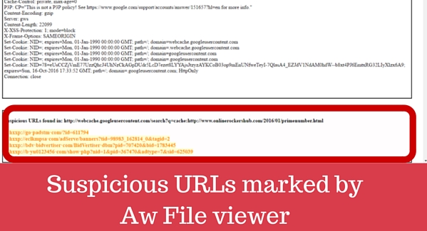 Suspicious URLs marked by Aw Snap Info File Viewer