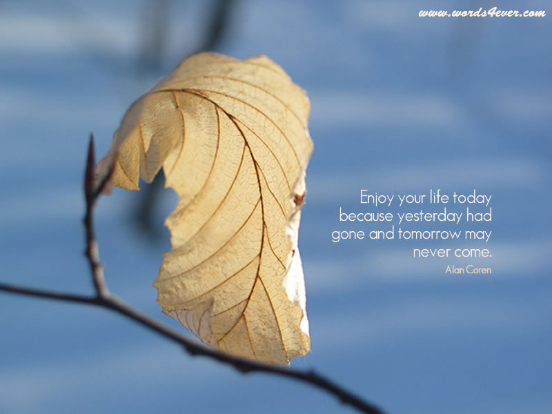 quotes and lyrics. cute quotes and lyrics. cute