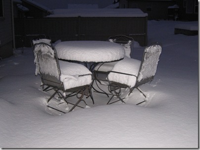 in the backyard and enjoy