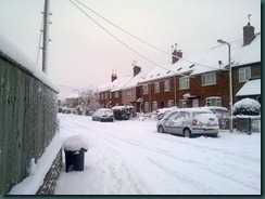 snow day 018