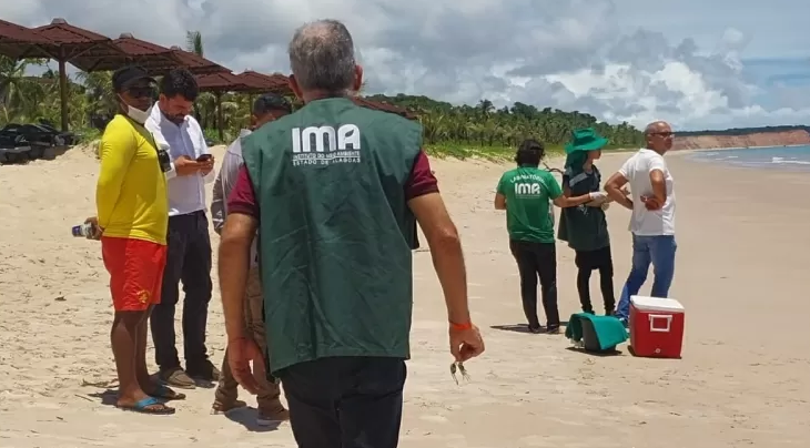 Maré vermelha': mais de 500 pessoas são intoxicadas em praias do Nordeste -  Tribuna de Noticias