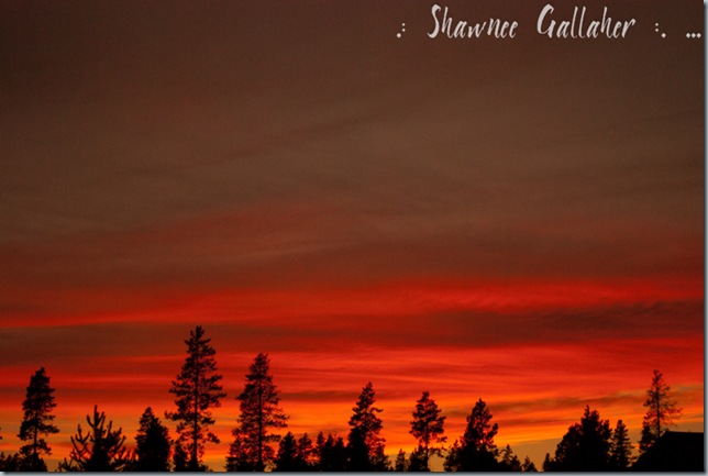 Firey Sunset