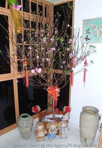 Chinese New Year Flowers