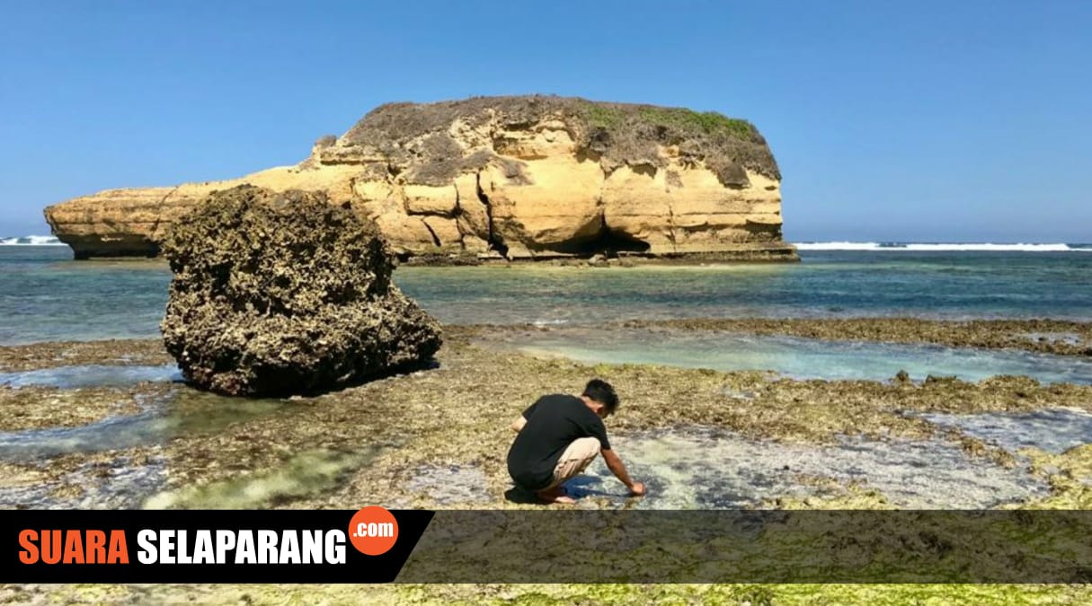 Pantai Kura Kura Potongan Surga Tersembunyi Di Sudut Lombok Timur Selatan