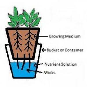 Hydroponic wick system concept