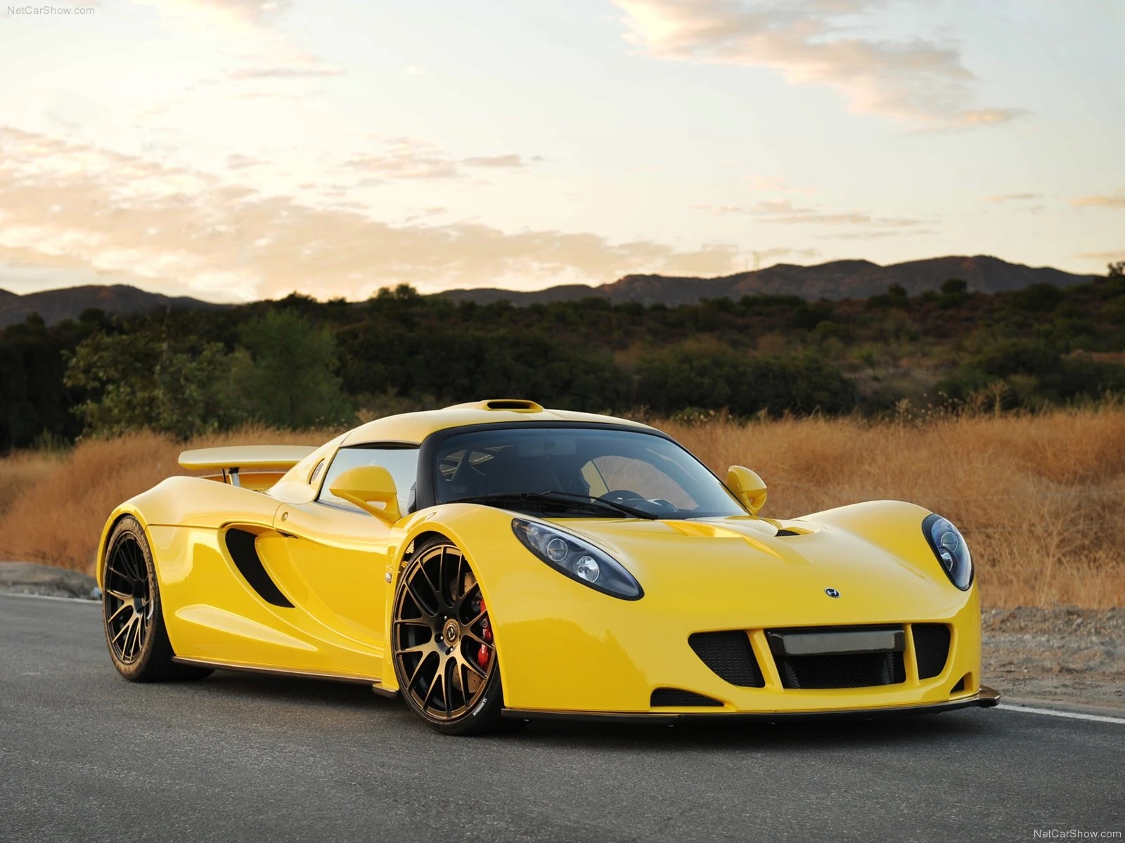 Hình ảnh siêu xe Hennessey Venom GT 2011 & nội ngoại thất