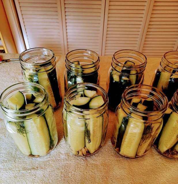 Sour Dill Pickles at Miz Helen's Country Cottage