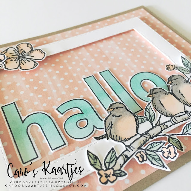 Stampin' Up! hobbymaterialen zijn verkrijgbaar via Caro's Kaartjes. Voor meer informatie mail naar carooskaartjes@hotmail.nl of kijk op https://carooskaartjes.blogspot.com/