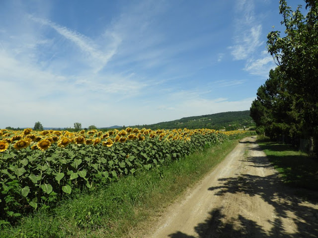 Lesencefalu határában