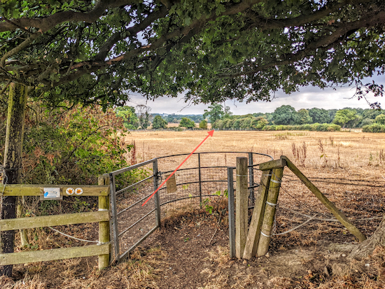 Keep right at the junction on Langley footpath 20