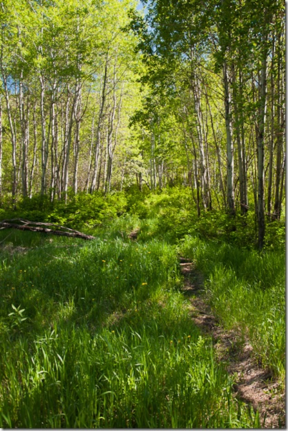 Ainsley Canyon-1