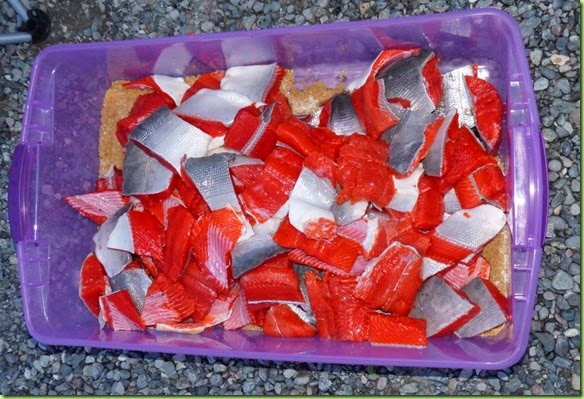 Red Processing