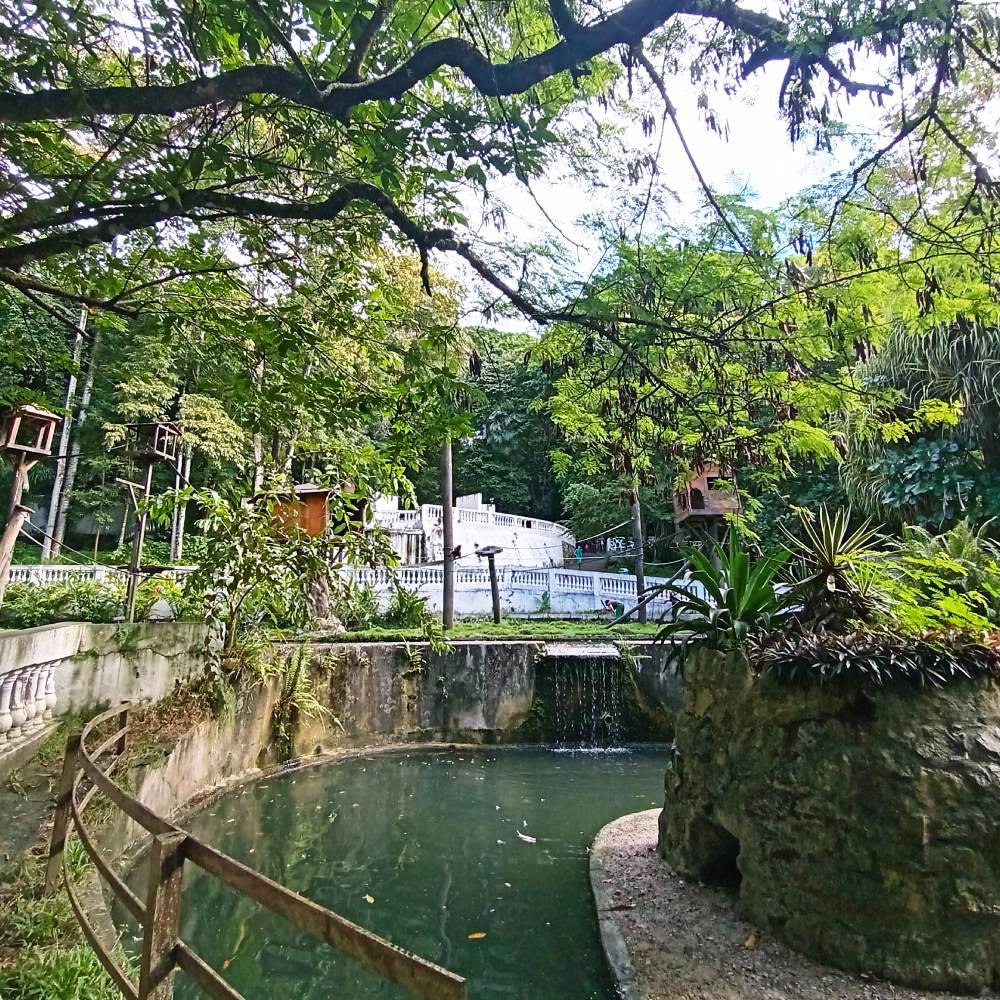 parque arruda camara bica jardim botanico