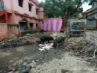 jamshedpur-and-cleaning