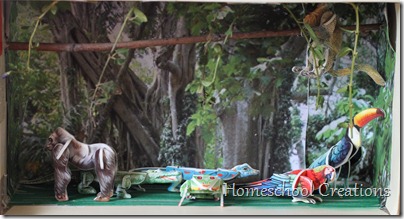 Rainforest diorama